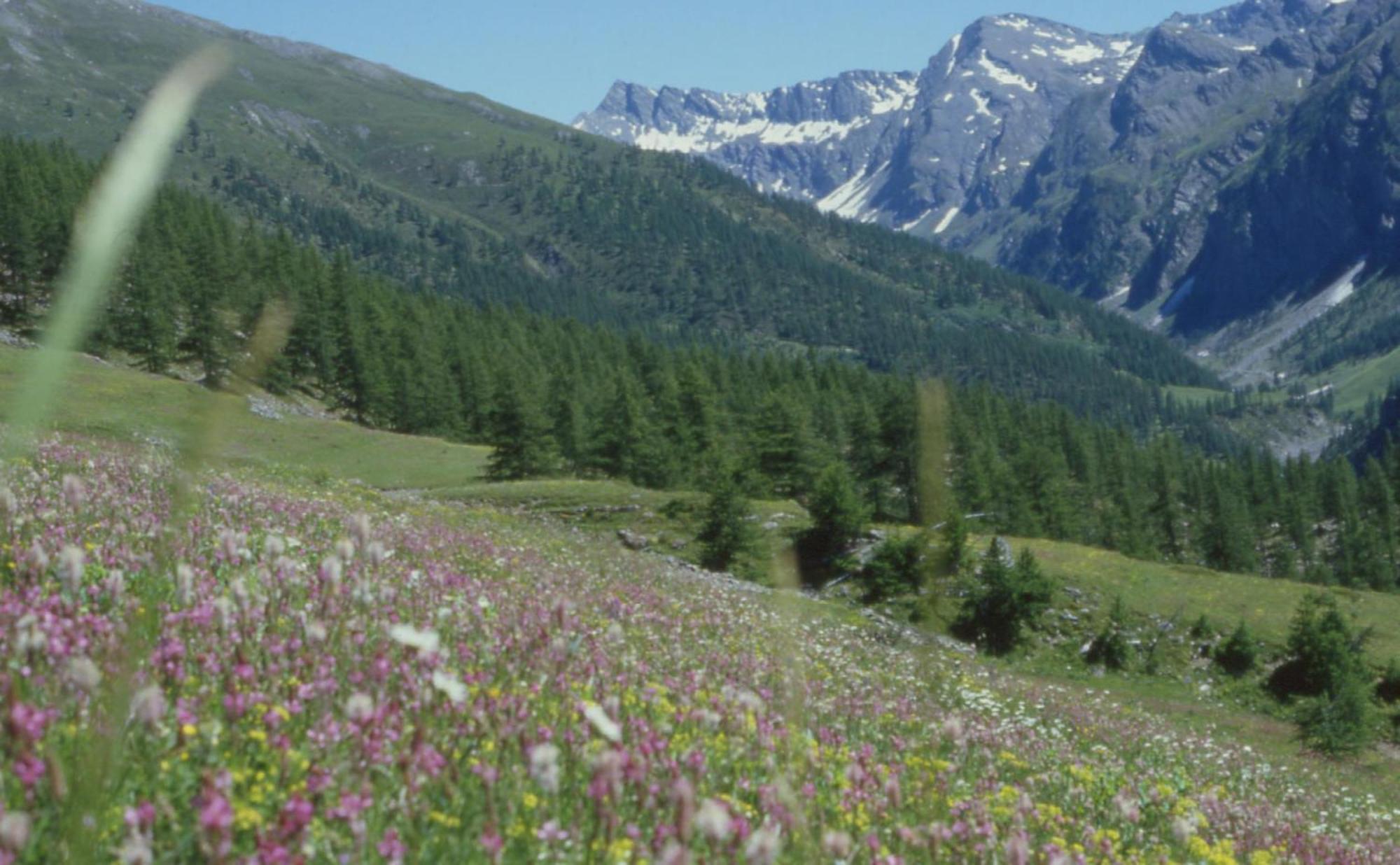Hotel Sud Ovest Colle Colle Sestriere Екстериор снимка